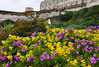 alcatraz tours vegas